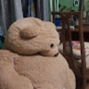 Meet your Posher, Maia